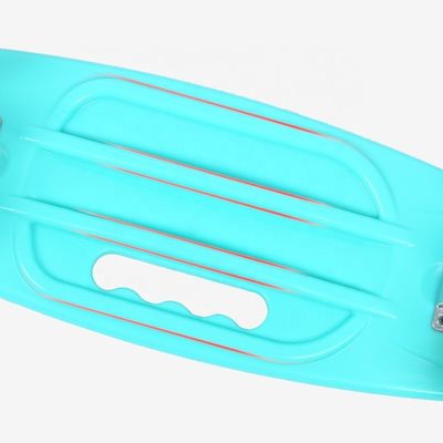 แผ่นเรียบมือถือปลาขนาดเล็กกระดานพิมพ์สเกตบอร์ดสี่ล้อ แฟลช Mobility Scooter สําหรับเด็กชายและเด็กหญิง